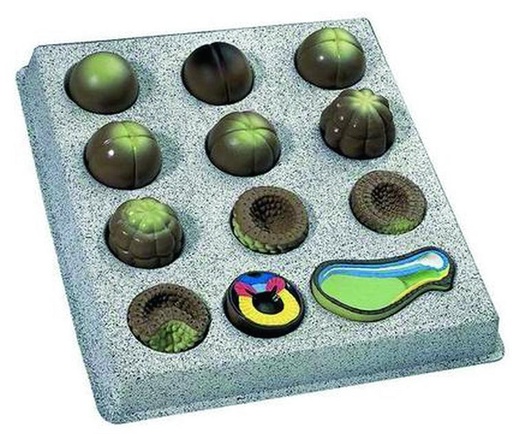 [023030-S60154] Modèle développement embryonnaire du xénope