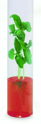 [024014] Mini kit culture sur gel