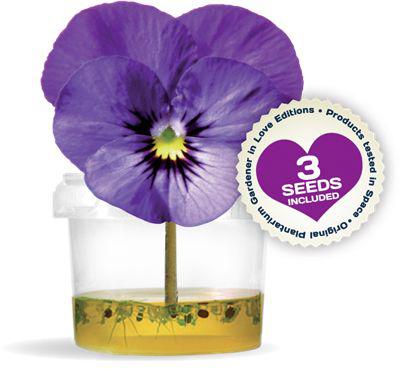 [024040] Kit culture sur gel : plantes à offrir