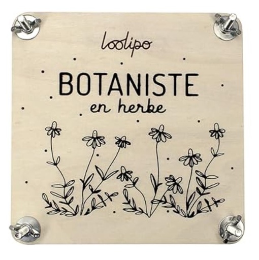 [024079] Presse à herbier