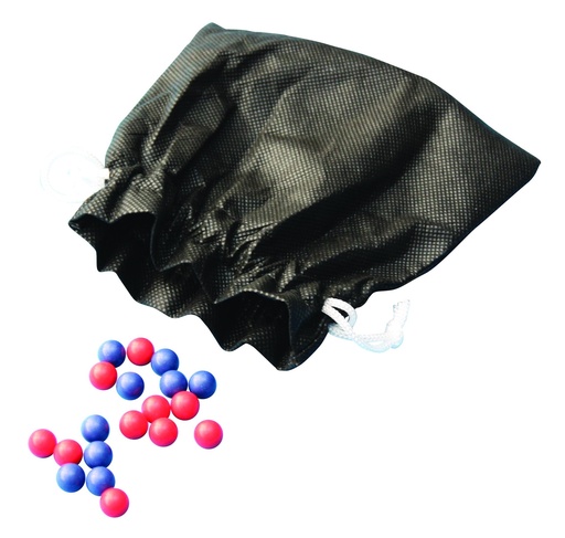 [029001] Ensemble pour étude de la dérive génétique - 2 allèles