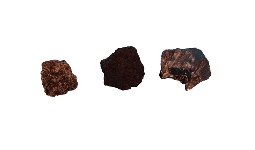 [031042] Échantillons de roche sédimentaire : Lignite (lot de 12)