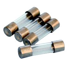 [107039] Fusibles pour microscope Euromex - 250 V / 1 A (lot de 10)