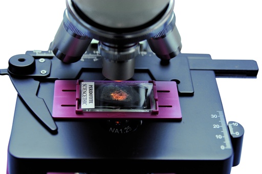 [116003-S01374] Supports de lames minces de roche (lot de 4)