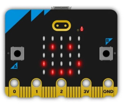 [#650101] Carte Micro:Bit® V2.21