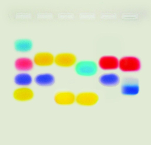 [910201] Kit de TP - À la recherche de mon père Edvotek