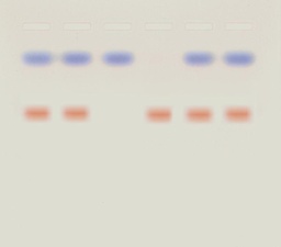 [910202-S68495] Kit de TP - Pourquoi les personnes sont différentes physiquement?