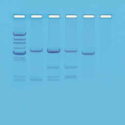 [910203] Kit de TP - Test de paternité par analyse génétique 
