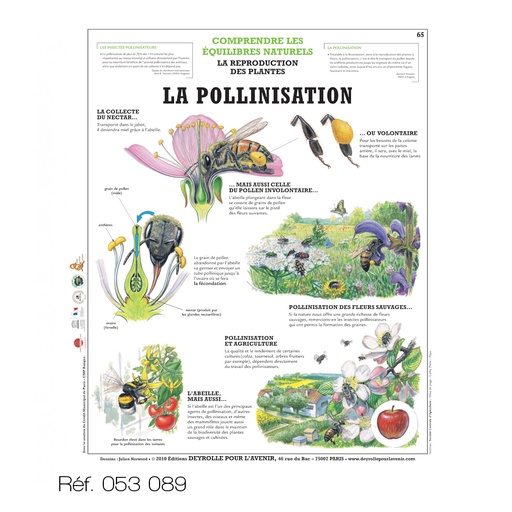 Affiche "Deyrolle pour l'avenir" - Format 50x60 cm