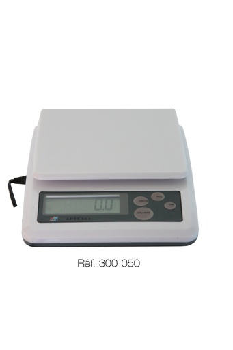 Balance électronique économique 