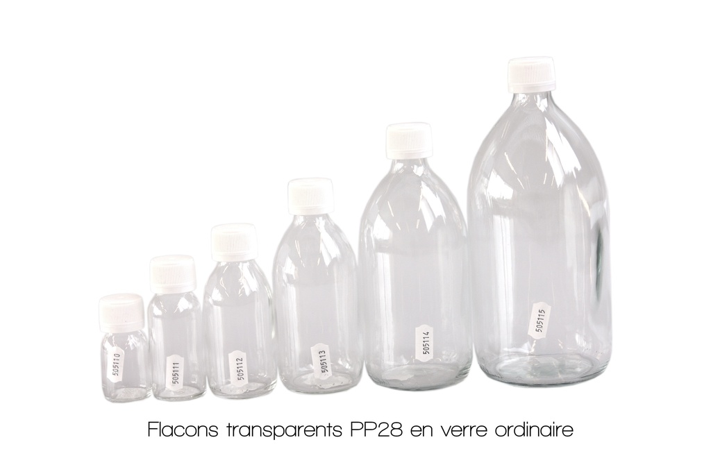 WYSKONT Bonbonnes En Verre 5L Avec Panier - Parfaites Pour Vin, Jus Ou Déco