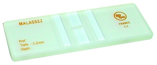 Lamelle planée KNITTEL