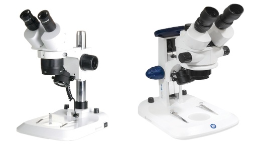 Loupe StéréoBlue