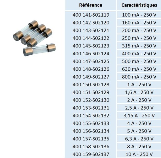 Fusibles temporisés 5 x 20 mm (lot de 10)